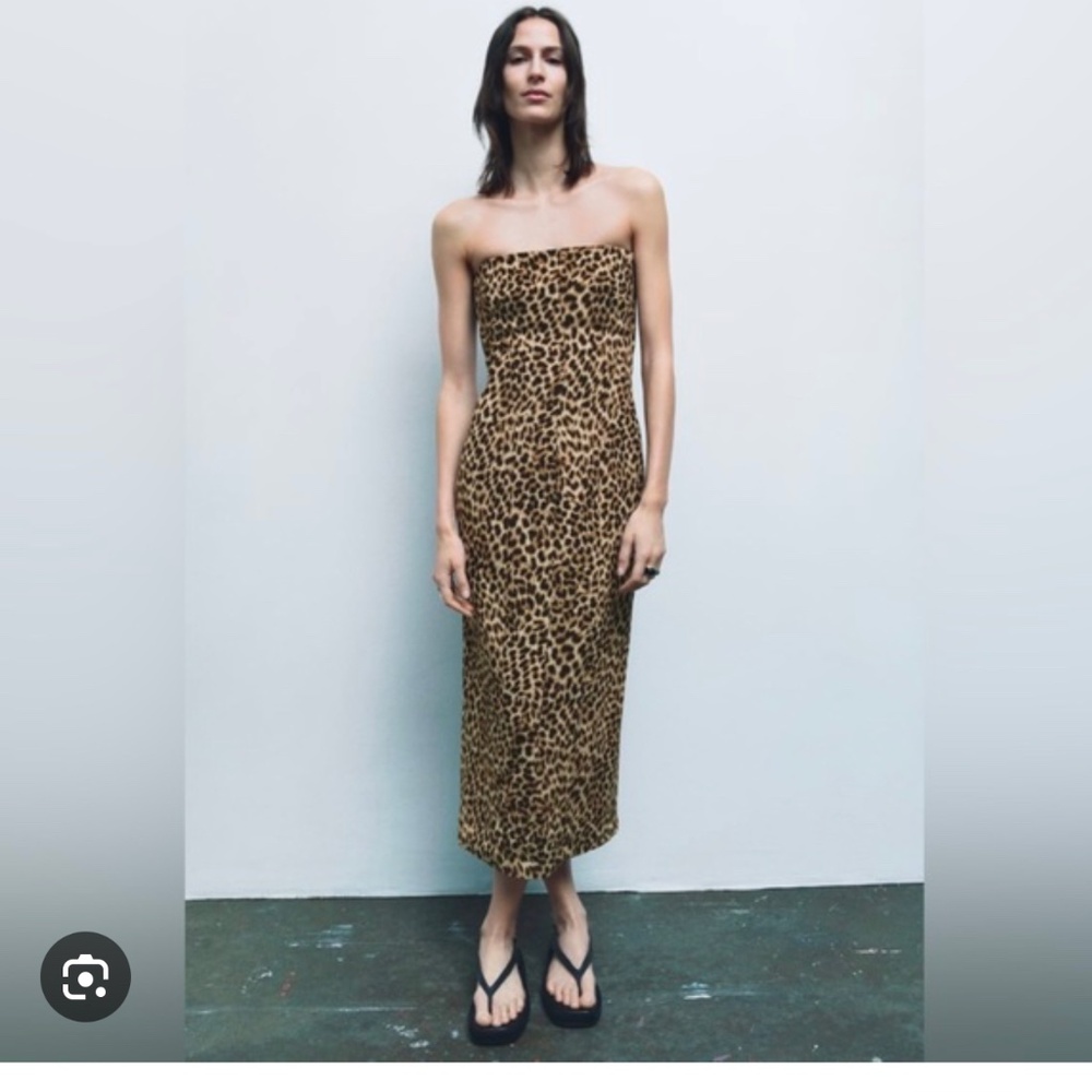 Zara printed sheath leopard dress XS size